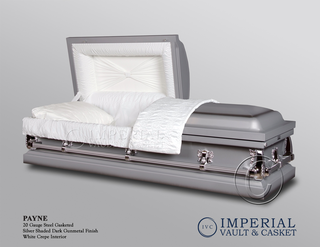 Payne (71011169) Silver Shaded Dark Gunmetal